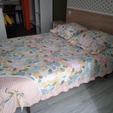 Hotel Sainte Therese Lourdes Ngoại thất bức ảnh