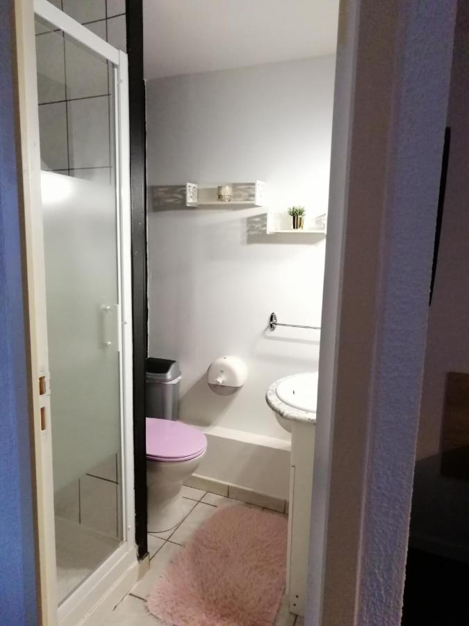 Hotel Sainte Therese Lourdes Ngoại thất bức ảnh